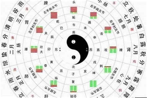 金水命|八字算命：八字金水格局